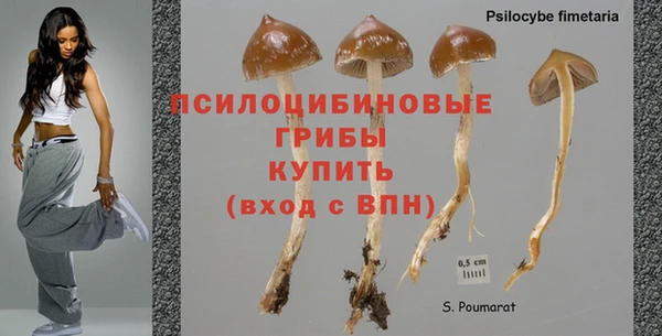 каннабис Новозыбков