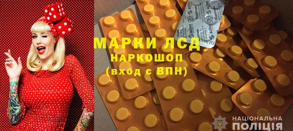 ГАЛЛЮЦИНОГЕННЫЕ ГРИБЫ Валдай