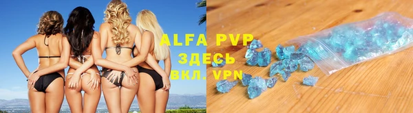 каннабис Новозыбков