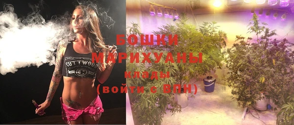 каннабис Новозыбков